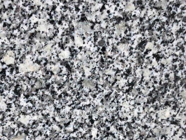 S1003-Luna-Pearl-Granite