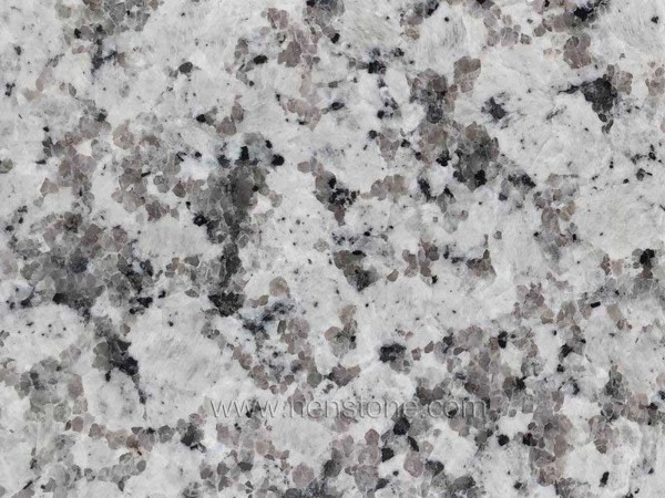S1011-Bala-White-Granite